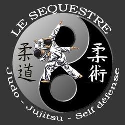 Logo Dojo